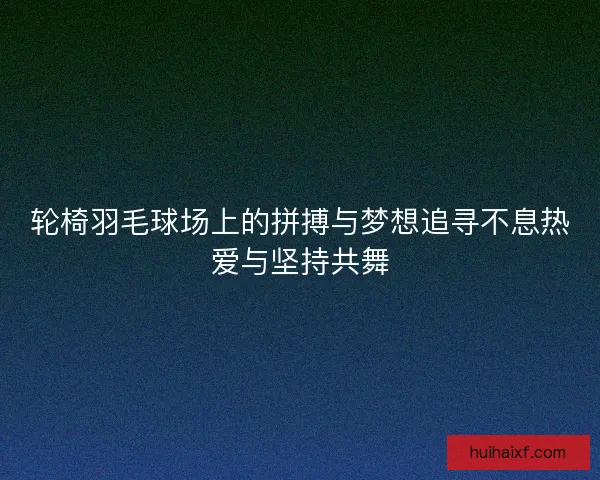 轮椅羽毛球场上的拼搏与梦想追寻不息热爱与坚持共舞